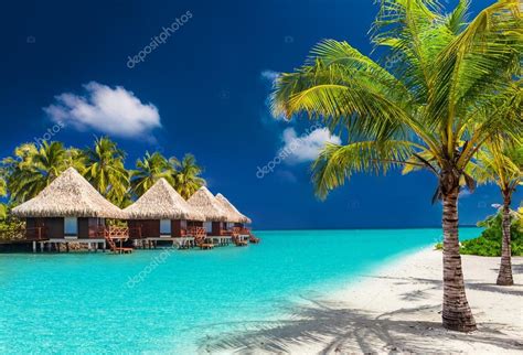 Natural laid-back tropical beach — Stock Photo © mvaligursky #102012396