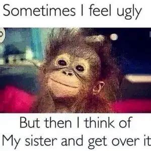 30 Funny Sister Memes for Classic Sibling Amusements – SheIdeas