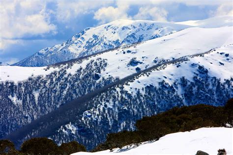 Bogong's West Side - A Day Trip to Victoria's Highest Peak | Mountainwatch