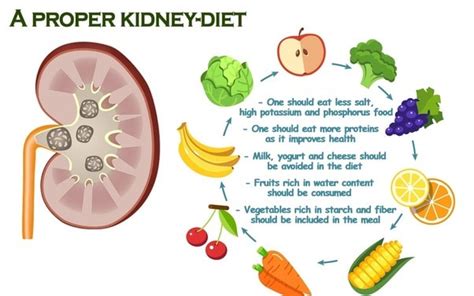 The Diet in the Patients with Renal Insufficiency - Dr Vinant Bhargava, Nephrologist in Delhi