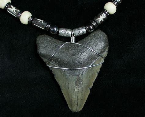 Megalodon Tooth Necklace - 2.25" For Sale (#6365) - FossilEra.com