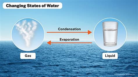 Condensation Process For Kids