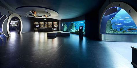 Istanbul Aquarium, Istanbul - Book Tickets & Tours | GetYourGuide