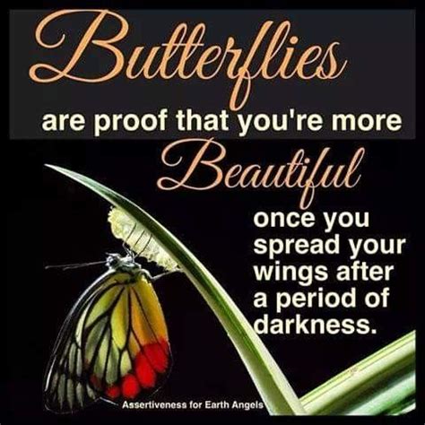 Pin by Yvonne Berrios on Quotes | Butterfly quotes, Butterfly, Wings quotes