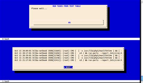 bash - How to view two dialog boxes on the linux console, running on the same time? - Super User