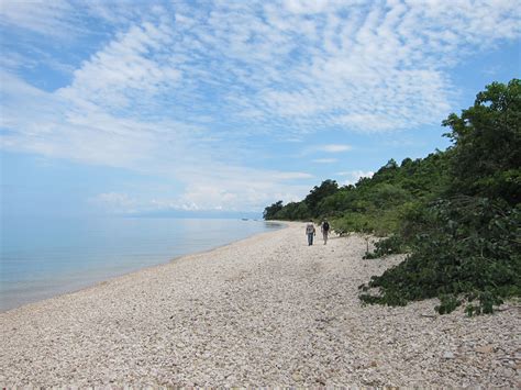 Study of Lake Tanganyika shows fast nutrient cycling - Environmental ...