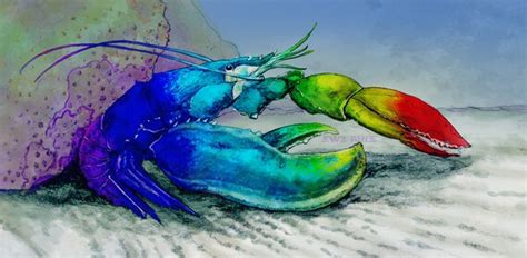 Items similar to American Lobster - Blue Lobster or Rainbow Lobster Color Options - Aquatic Art ...