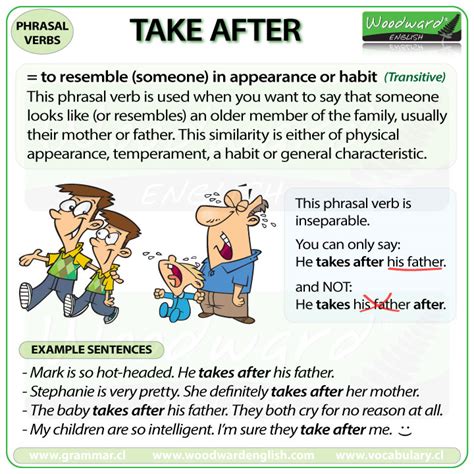 TAKE AFTER – phrasal verb – meanings and examples | Woodward English