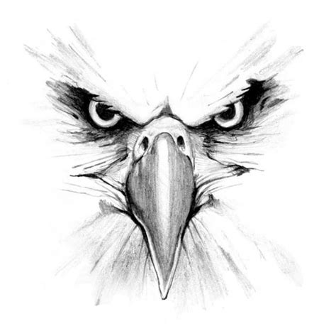 eagle drawing - Google Search | Eagle drawing, Eagle face, Eagle art