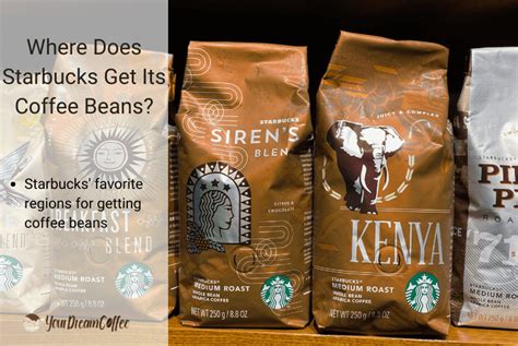 Where Does Starbucks Get Its Coffee Beans? (2024 Data)