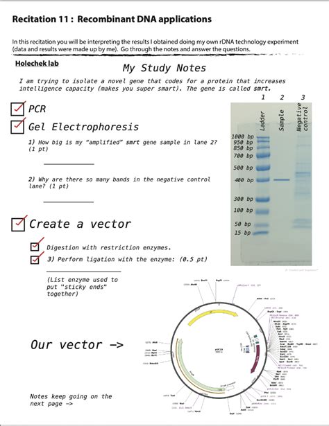 Solved Recitation 11 : Recombinant DNA applications In this | Chegg.com