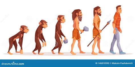 Stages Of Human Evolution Pictures - Illustration Of The Stages In Human Evolution Photograph ...