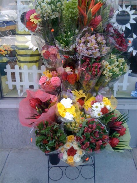 Business Q&A: East Meadow Florist | East Meadow, NY Patch