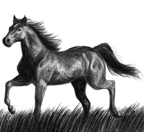 FREE 12+ Horse Drawings in AI