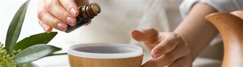 Ravintsara Essential Oil Benefits, Uses, Precautions, and More ...