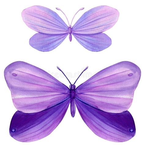 Set of Purple Butterflies on Isolated White Background, Watercolor Illustration, Beautiful ...