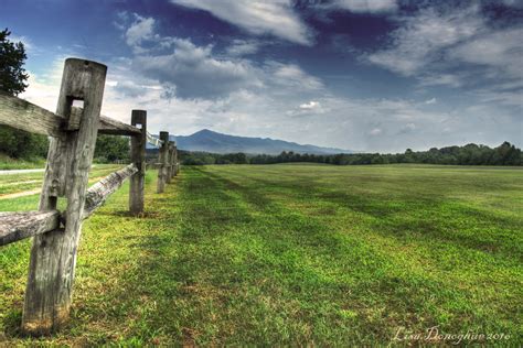 Landscape photography of grass field with gray wooden fence under clear blue sky and white ...