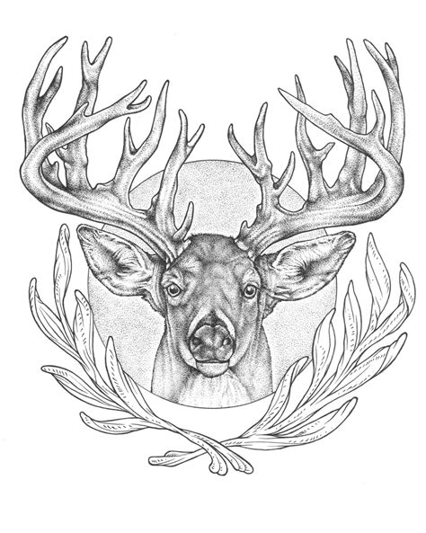 Elk Head Drawing at GetDrawings | Free download