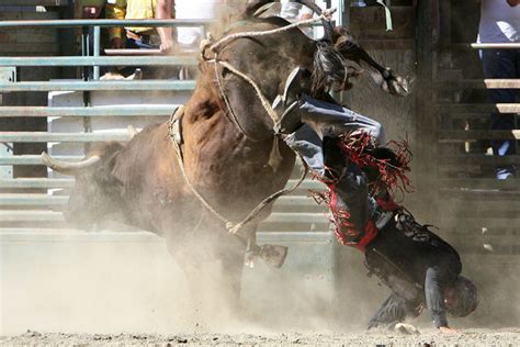 MultiBrief: Head injuries prove bull riders need to ‘cowboy up’ and wear helmets