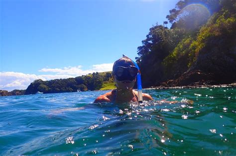 Cheap, self-guided snorkeling in the Bay of Islands, New Zealand ...