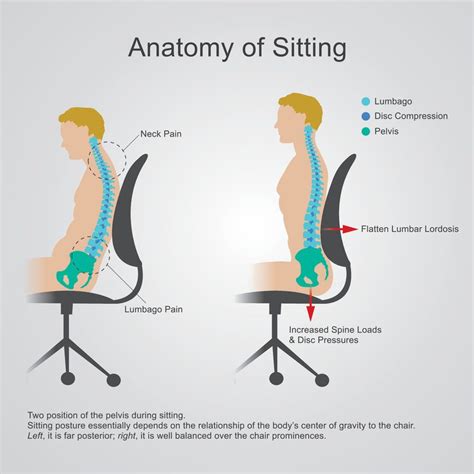 What is the Correct Ergonomic Sitting Posture in the Office? (2022)