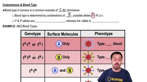 Codominance Examples In Humans