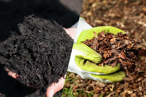 Black Mulch Vs. Brown Mulch Pros & Cons: Which Is Better?