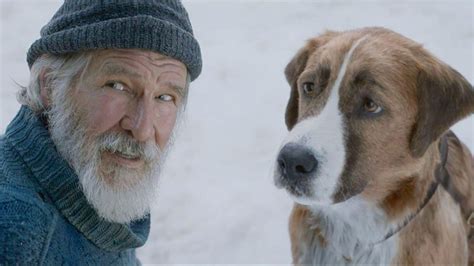 The timeless appeal of one-man-and-his-dog stories - BBC Culture