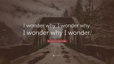 Richard P. Feynman Quote: “I wonder why. I wonder why. I wonder why I wonder.”