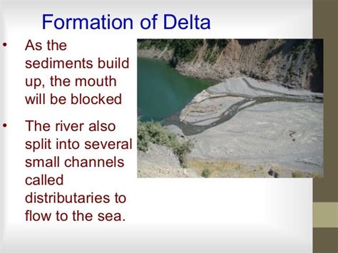 river delta impact (For Geography)