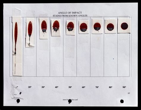 Blood Spatter Bloodstain Analysis Experiments Answers - Carrillotrust