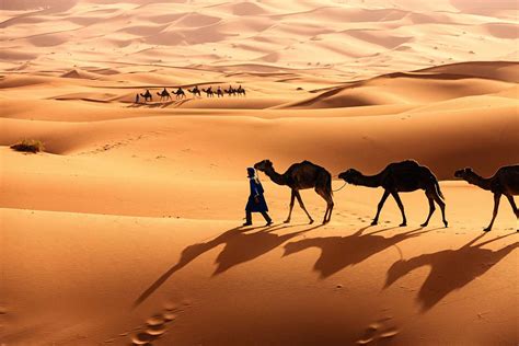 Sahara Desert People Culture