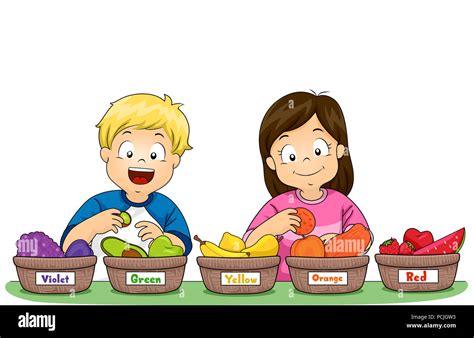 Illustration of Kids Sorting Fruits By Color in Different Baskets from Violet, Green, Yellow ...