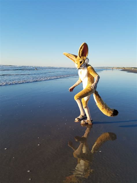Fennec dancing on the surf up at Seaside Oregon. | Seaside oregon, Surfing, Surfs up