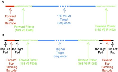 Panel A shows the primer design for amplifying the V6–V9 16S rRNA gene ...