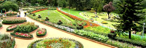 Government Botanical Garden | Incredible India