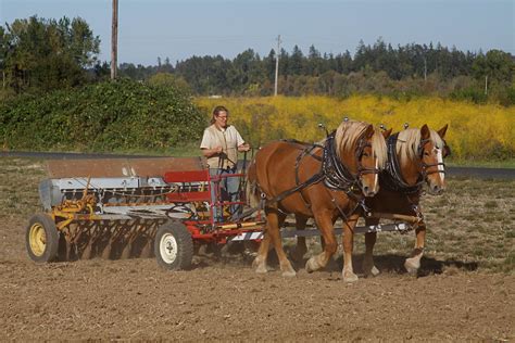 47th Avenue Farm » Blog Archive » Horse Farming Workshops with Doc Hammill