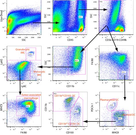 ruffell \ Protocols \ Mouse Flow Cytometry