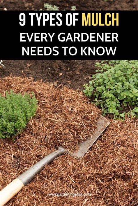 Pin by Eileen on gardening | Types of mulch, Garden mulch, Mulch for ...