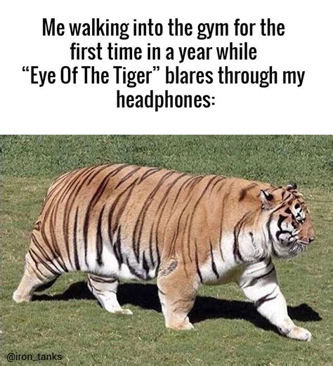 Anyone who has had a bit of time off (+donuts) will relate. 🐅 ...