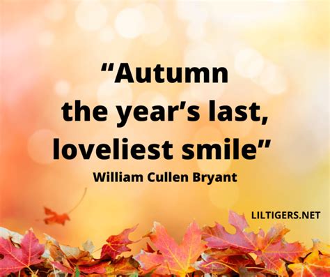 140 Best Fall Quotes and Sayings for Autumn - Lil Tigers