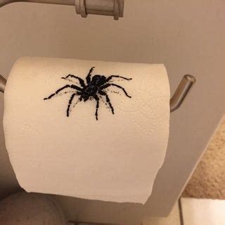 Spider on Toilet Paper Prank (with Pictures) - Instructables