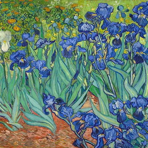 Irises Vincent Van Gogh