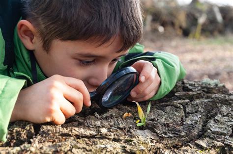 Observe and Learn! How a Magnifying Glass Builds Kids' Science Skills