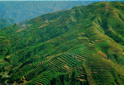 Banaue Rice Terraces, Philippines | Travel Innate