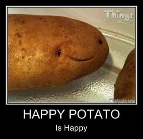 30 Potato Memes That Are Guaranteed To Make Your Day - SayingImages.com