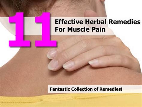 11 Effective Herbal Remedies For Muscle Pain