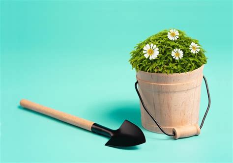 Premium Photo | Garden tools and flower on green background