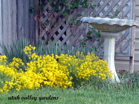 Utah Valley Gardens: Gardening Offers Changes