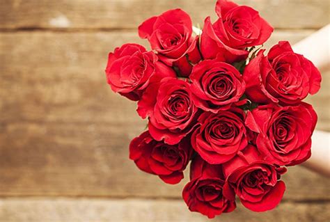 How to Find the Best First Date Flower? (Tips & Suggestions)